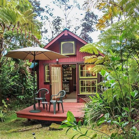 Ferny Hollow: Romantic Rainforest Cottage Volcano Zewnętrze zdjęcie