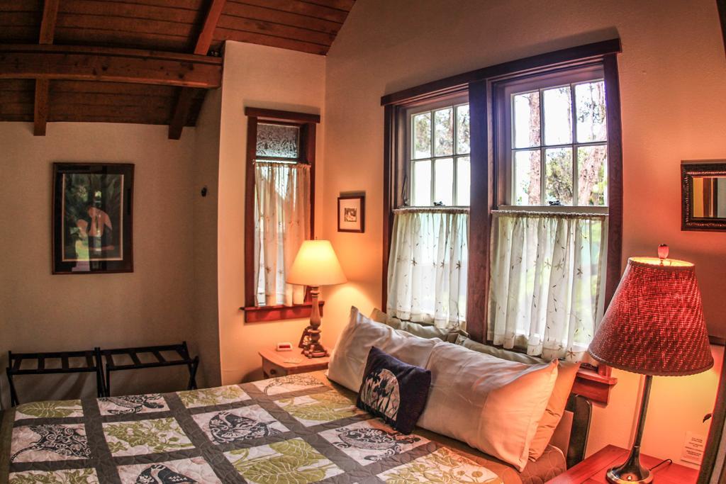 Ferny Hollow: Romantic Rainforest Cottage Volcano Zewnętrze zdjęcie