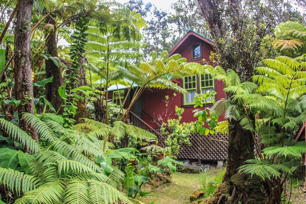 Ferny Hollow: Romantic Rainforest Cottage Volcano Zewnętrze zdjęcie