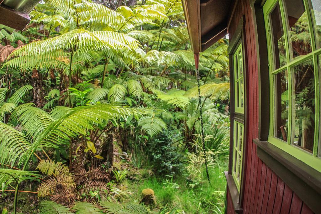 Ferny Hollow: Romantic Rainforest Cottage Volcano Zewnętrze zdjęcie